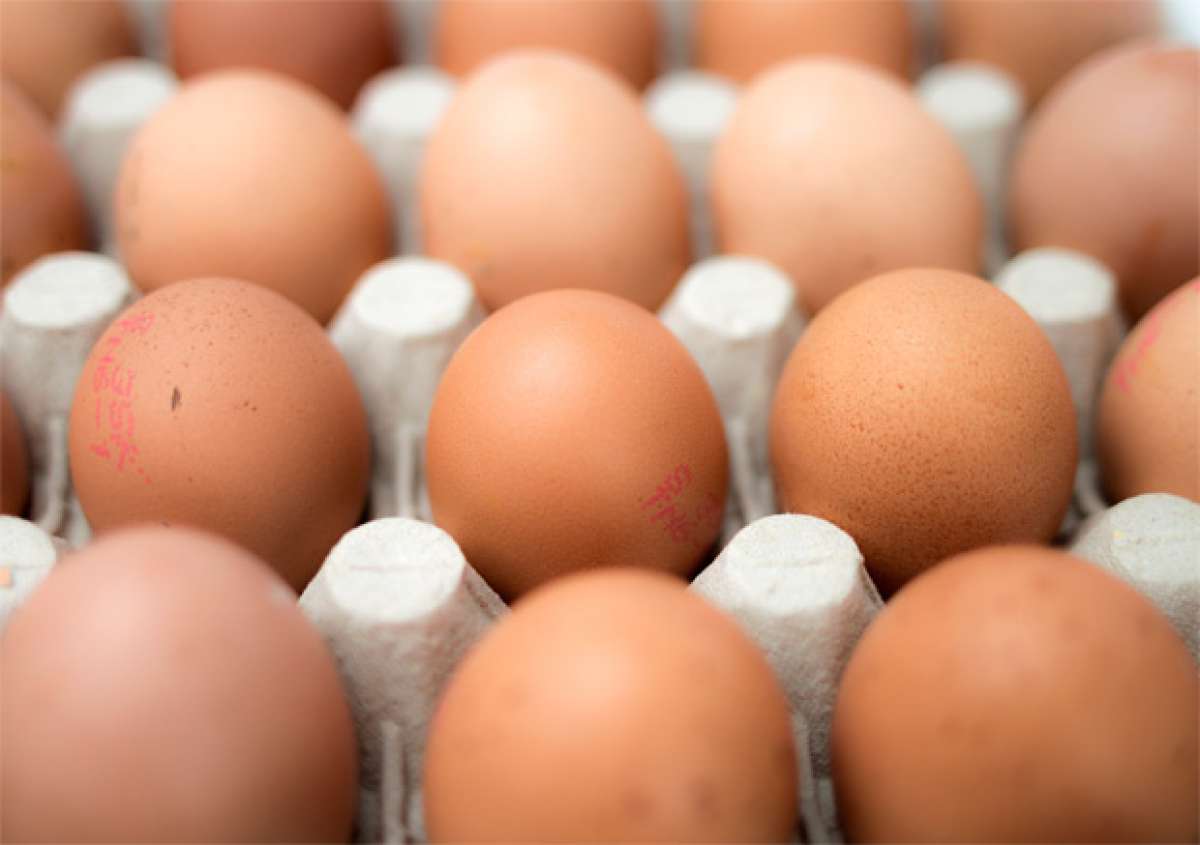 Nutrición: Las claras de huevo sin cocinar. ¿También se pueden asimilar?