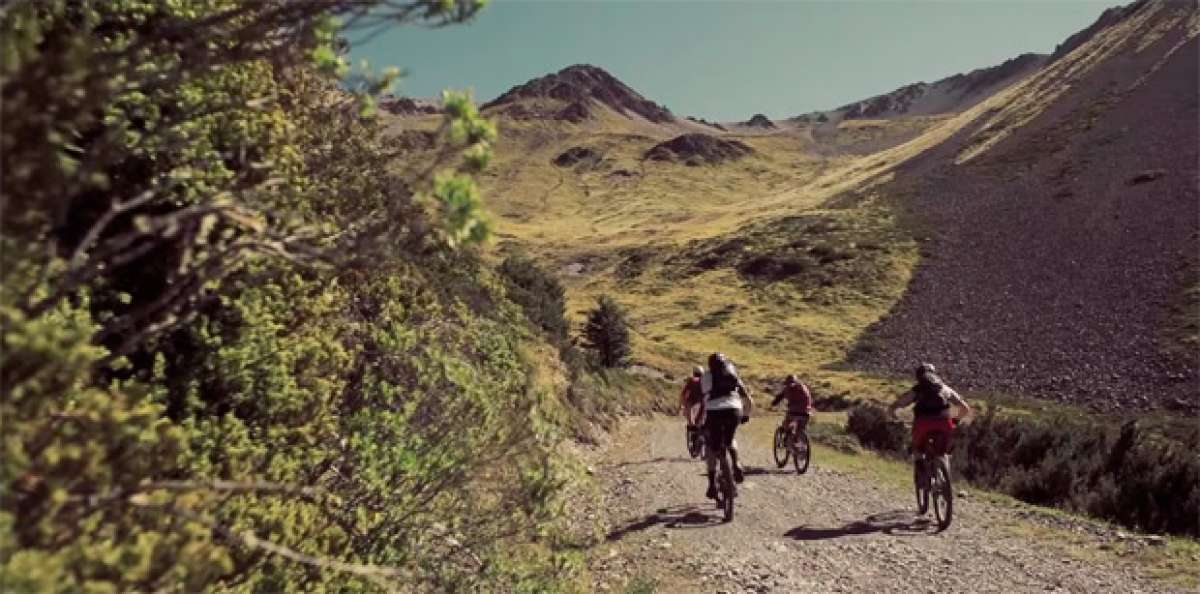 Siempre es verano en algún sitio: Practicando Mountain Bike en Nueva Zelanda