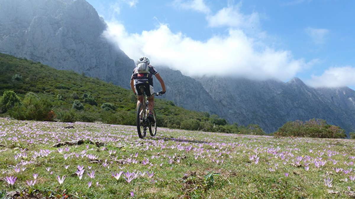 La foto del día en TodoMountainBike: 'Asturias, sidra y pedales'