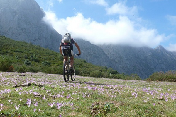 La foto del día en TodoMountainBike: "Asturias, sidra y pedales"