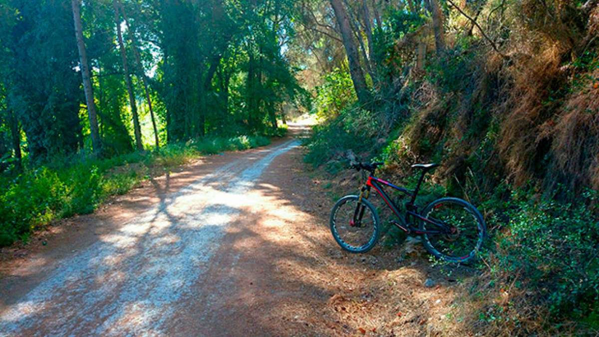 La foto del día en TodoMountainBike: 'Parque Fluvial del Turia'