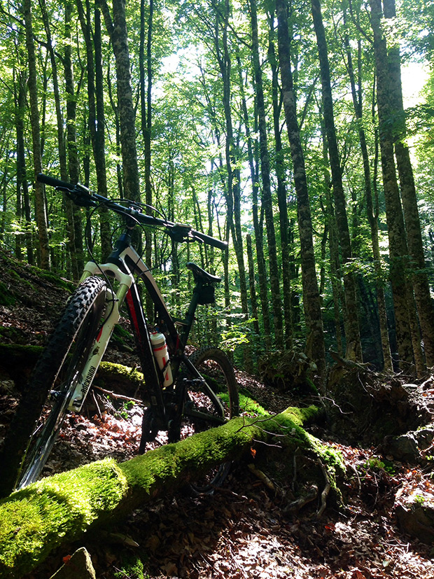 La foto del día en TodoMountainBike: 'Lost within Irati'