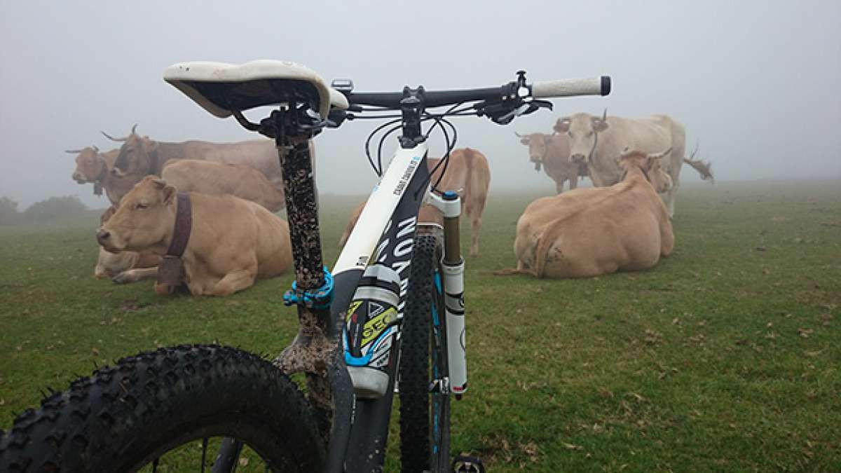 La foto del día en TodoMountainBike: 'Una mañana del mes de Julio'