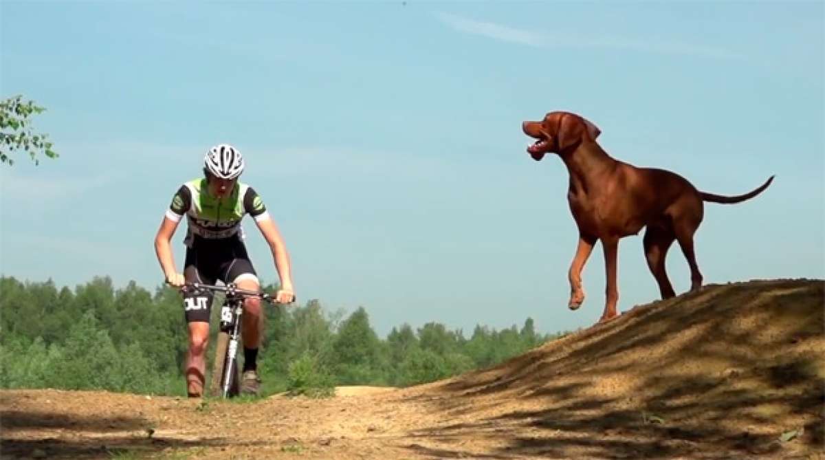 Tom & Ruby: Un ciclista, una Cannondale, un perro y mucho XC