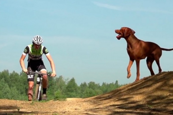 Tom & Ruby: Un ciclista, una Cannondale, un perro y mucho XC