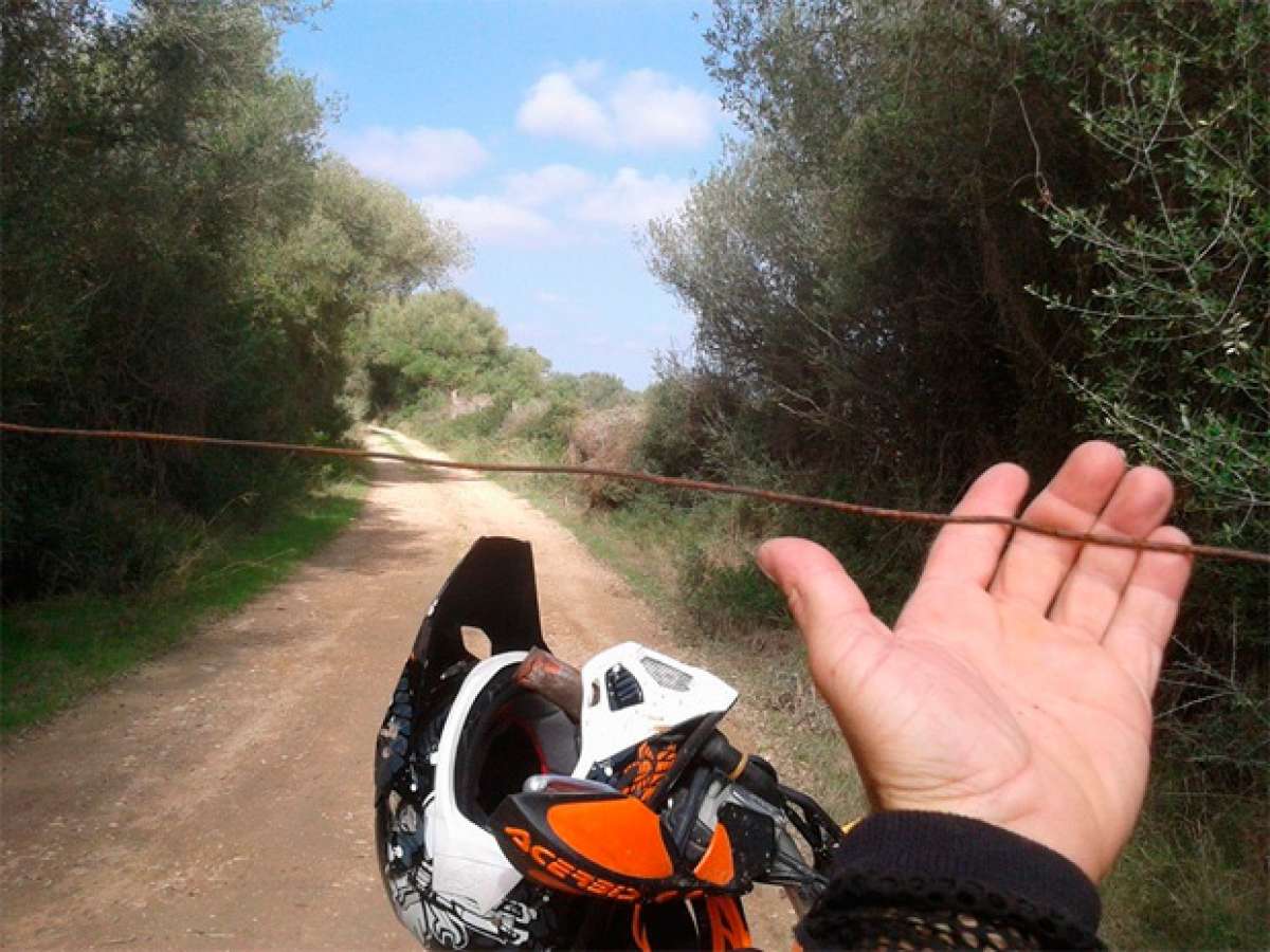 Así era la trampa mortal encontrada en el municipio de Llucmajor, en Mallorca