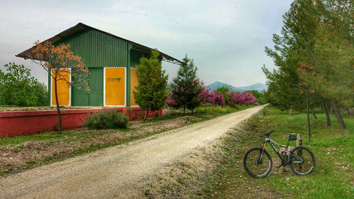 La foto del día en TodoMountainBike: 'Vía Verde del Aceite'