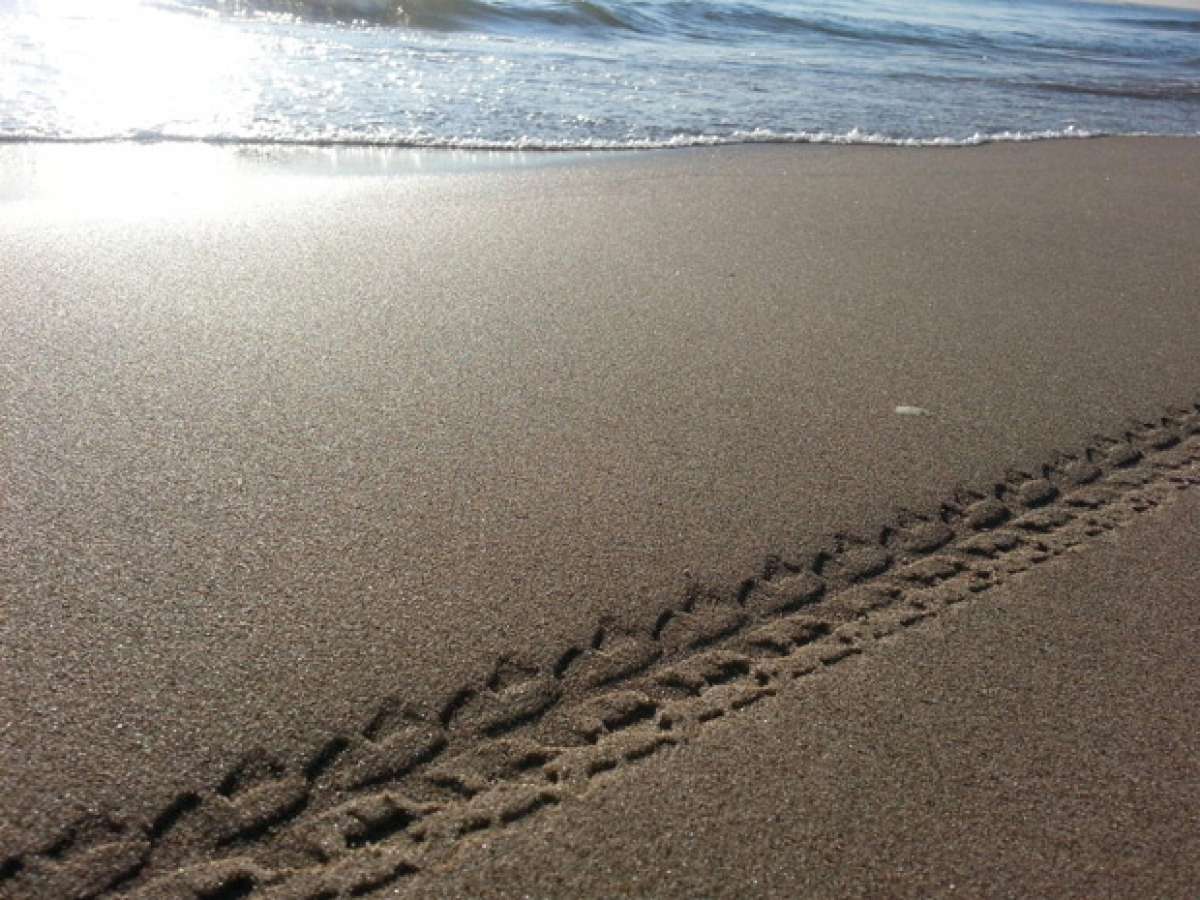 La foto del día en TodoMountainBike: 'La Playa de la Malvarrosa'