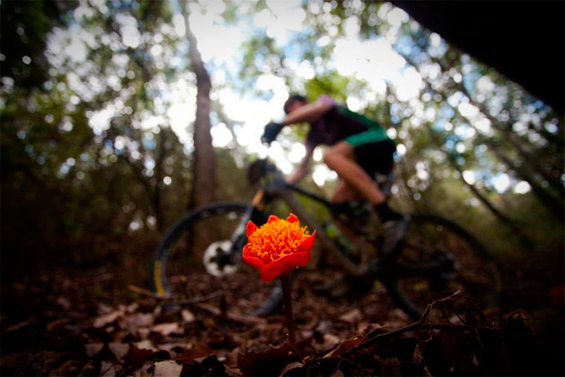 Absa Cape Epic 2015: Las mejores imágenes de esta duodécima edición