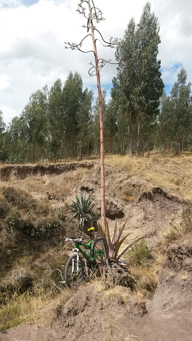 La foto del día en TodoMountainBike: 'Rodeando las montañas volcánicas de Quito'