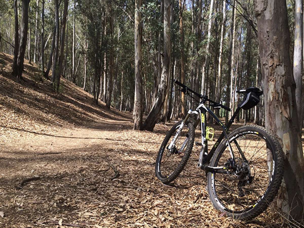 La foto del día en TodoMountainBike: 'Primer día de otoño'