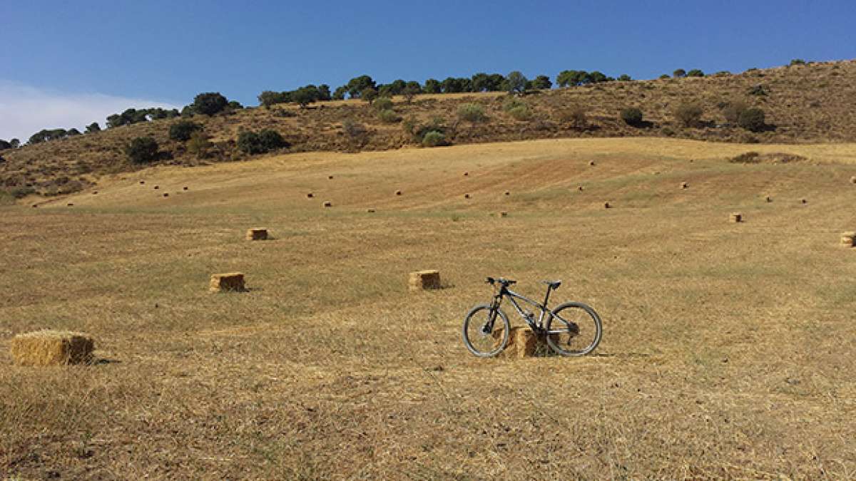 La foto del día en TodoMountainBike: 'Alto de Cumbres Verdes'