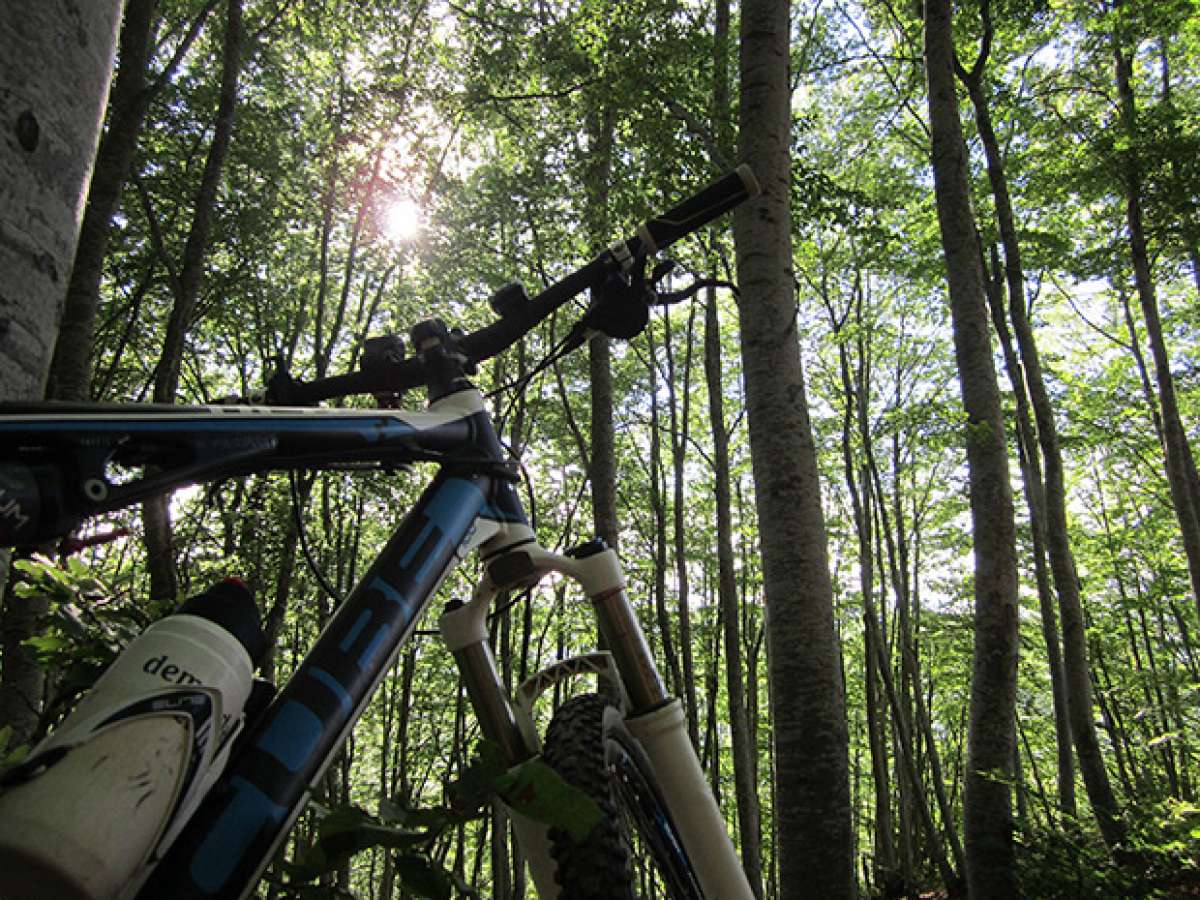 La foto del día en TodoMountainBike: 'Amanecer en el hayedo de Castroviejo'