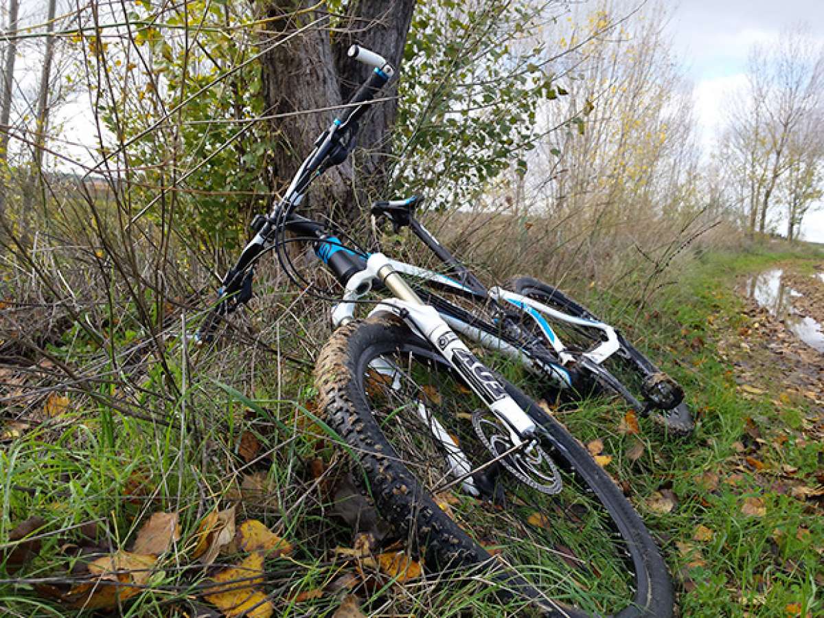 La foto del día en TodoMountainBike: 'Entre chopos'