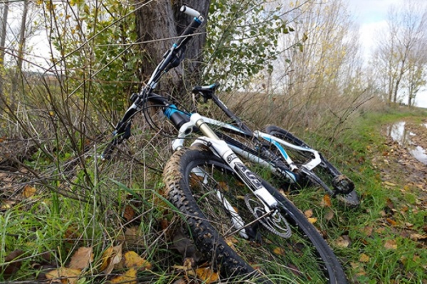 La foto del día en TodoMountainBike: "Entre chopos"