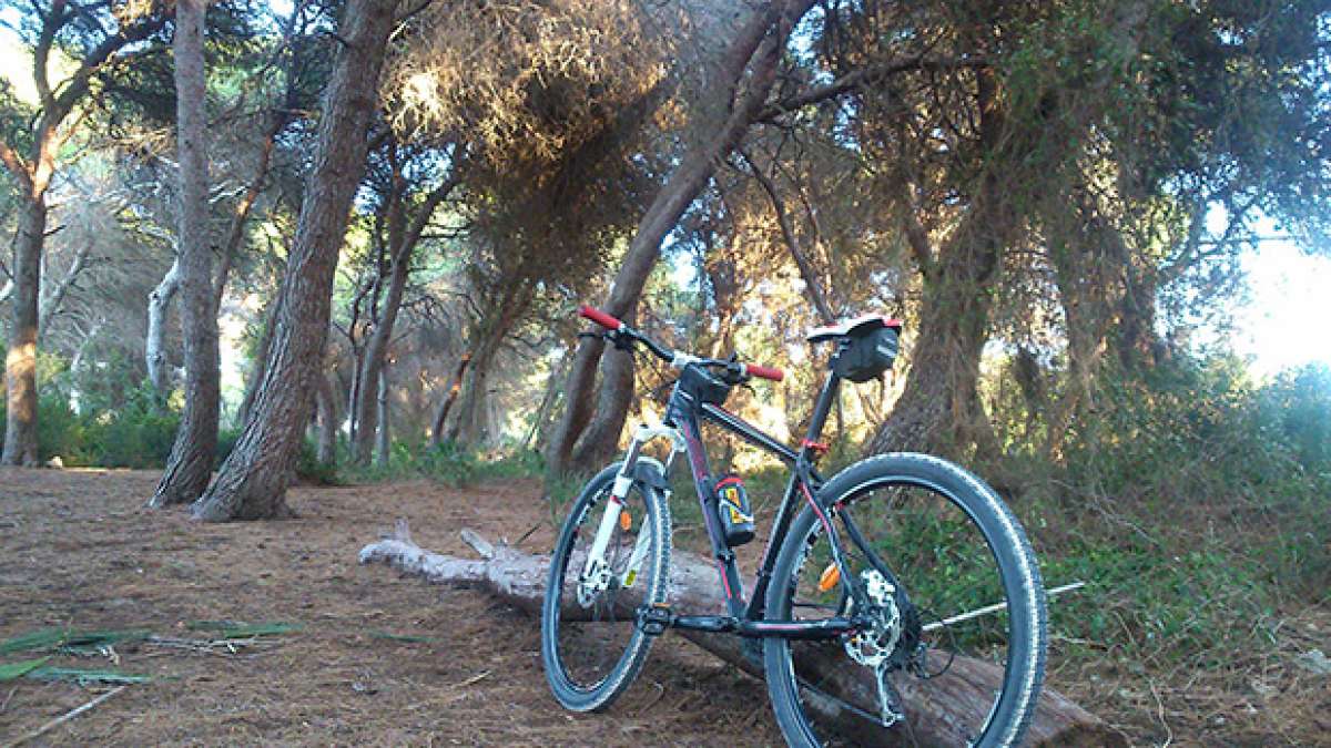 La foto del día en TodoMountainBike: 'Bosque Mediterráneo'