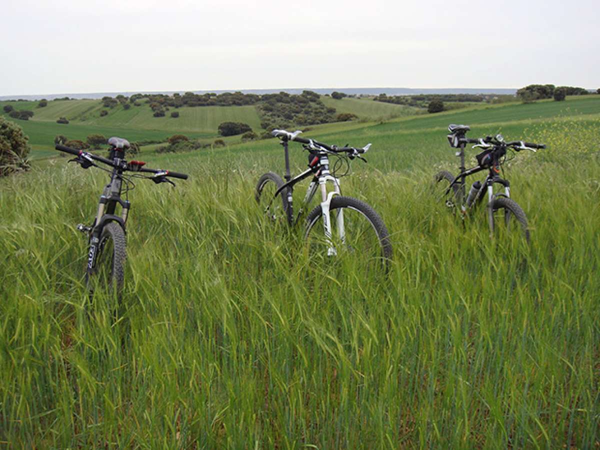 La foto del día en TodoMountainBike: 'Ruta por la Campiña del Henares'