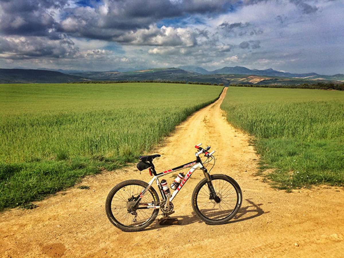 La foto del día en TodoMountainBike: 'Cañada Real de Ronda a Osuna'