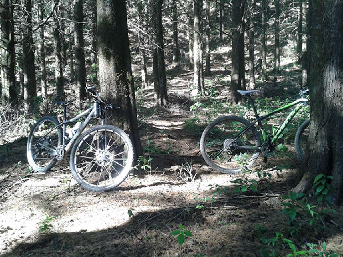 La foto del día en TodoMountainBike: 'Conquistando la montaña'