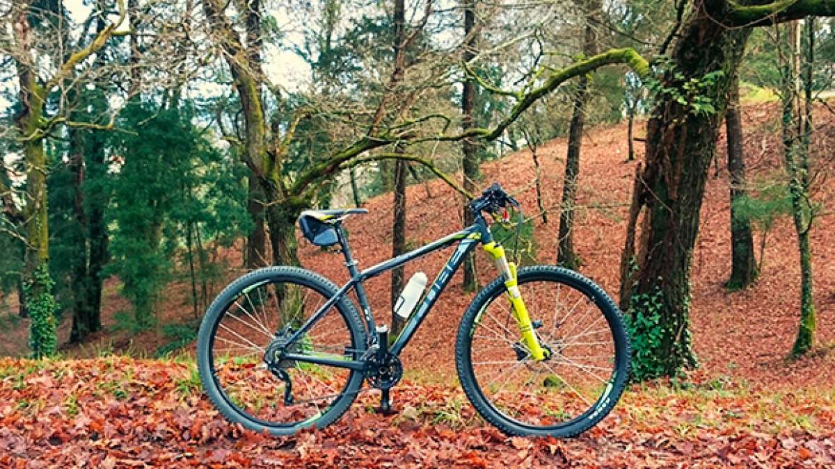 La foto del día en TodoMountainBike: 'Carballeira de Reboreda (Pontevedra)'