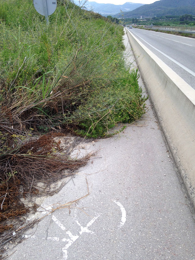 La foto del día en TodoMountainBike: 'Carril bici en Rótova (Valencia)'