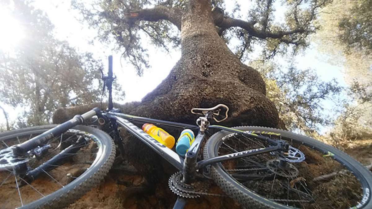 La foto del día en TodoMountainBike: 'La naturaleza por encima'