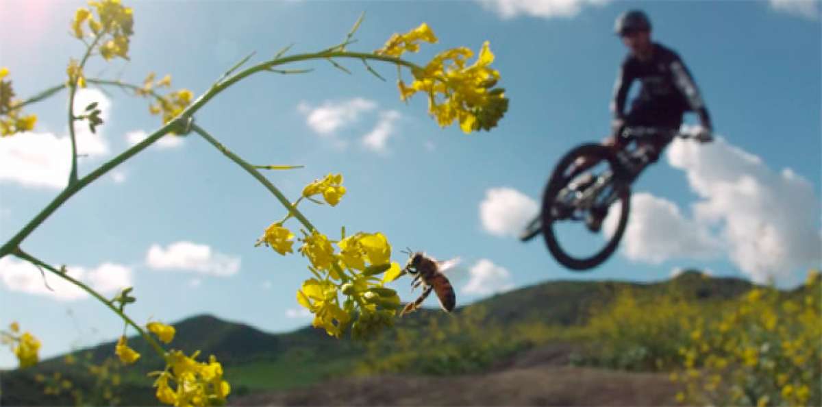 "Chaos Can"t Be Beautiful", el nuevo anuncio promocional de RockShox