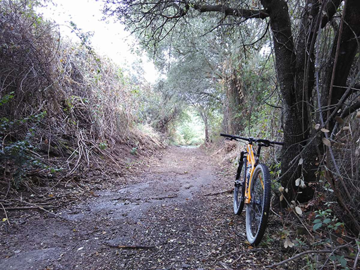 La foto del día en TodoMountainBike: 'Chaparral de San Benito'