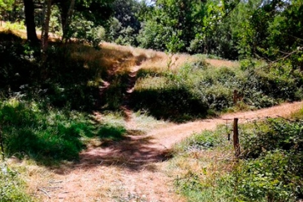 Un ciclista muerto al chocar con un cable colocado en una senda pública de Cantabria