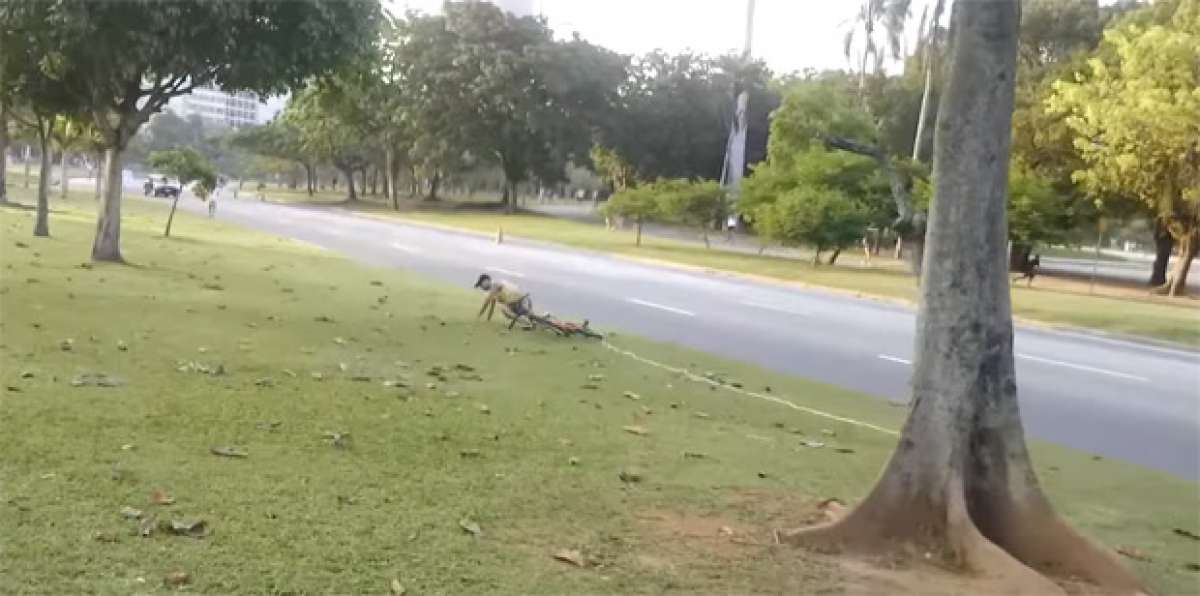 El método más eficaz para evitar el robo de una bicicleta... ¡Una simple cuerda!