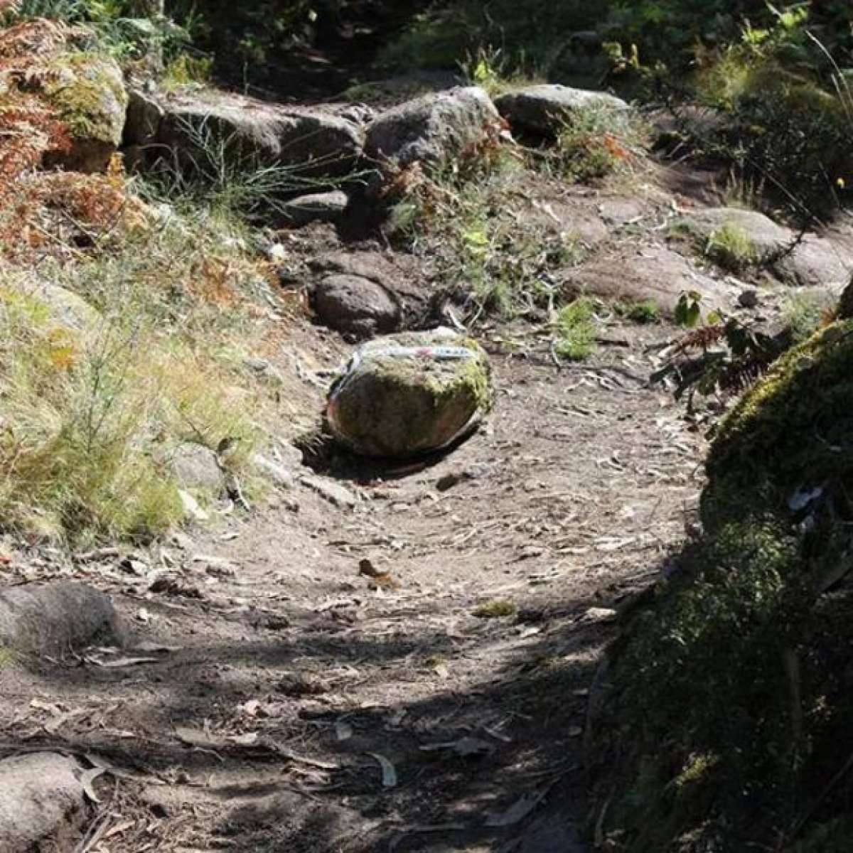 En pie de guerra: Las comunidades de montes de Pontevedra impedirán el acceso a los ciclistas