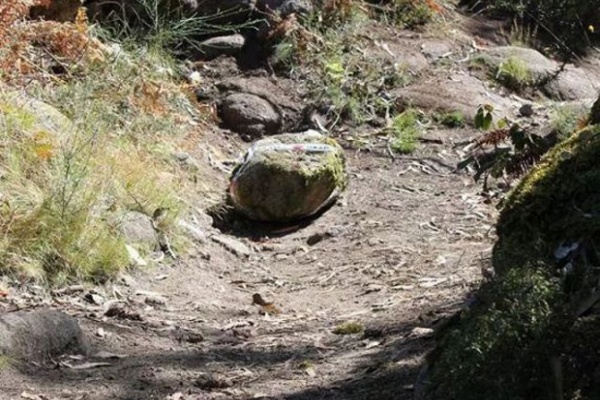 En pie de guerra: Las comunidades de montes de Pontevedra impedirán el acceso a los ciclistas