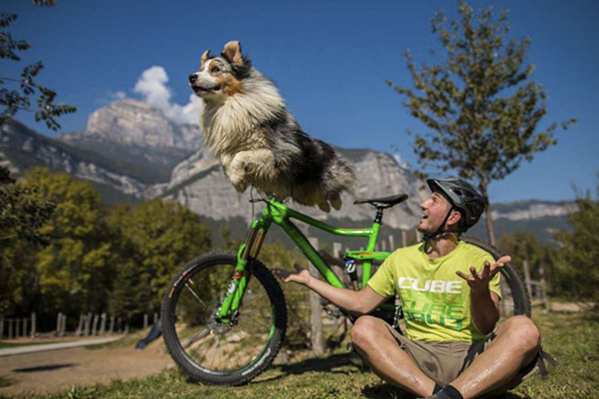 Trucos sobre una bici (y sobre cuatro patas) con Aurélien Fontenoy y el perro ED