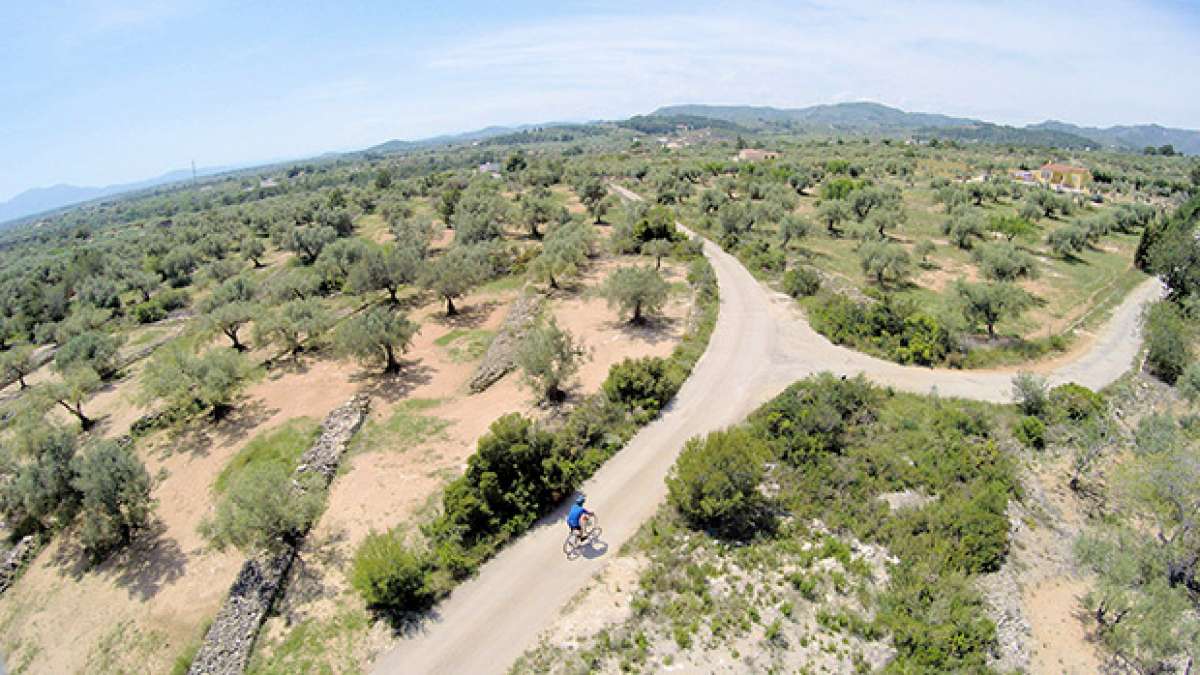 La foto del día en TodoMountainBike: 'Campos de olivos de El Perelló desde un Dron'