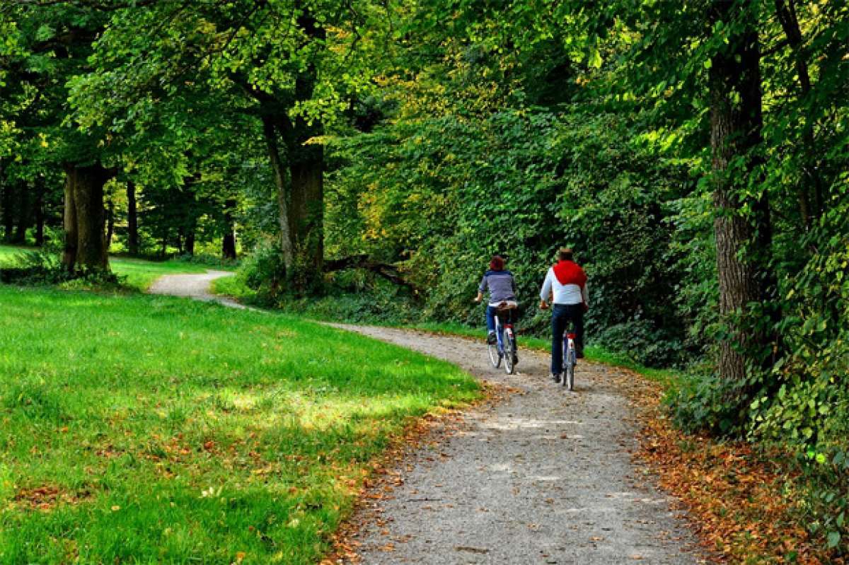 El ciclismo, el deporte más practicado en España durante 2015 según el Ministerio de Educación, Cultura y Deporte