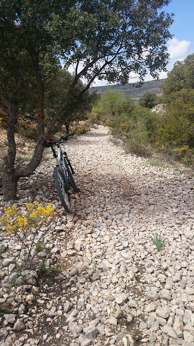 La foto del día en TodoMountainBike: 'Vía Verde Tajuña - La Alcarria'