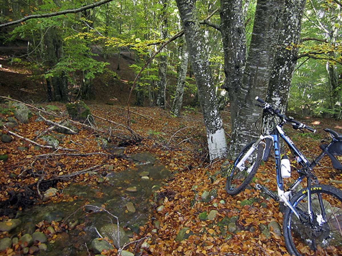 La foto del día en TodoMountainBike: 'Otoño en el Moncalvillo'