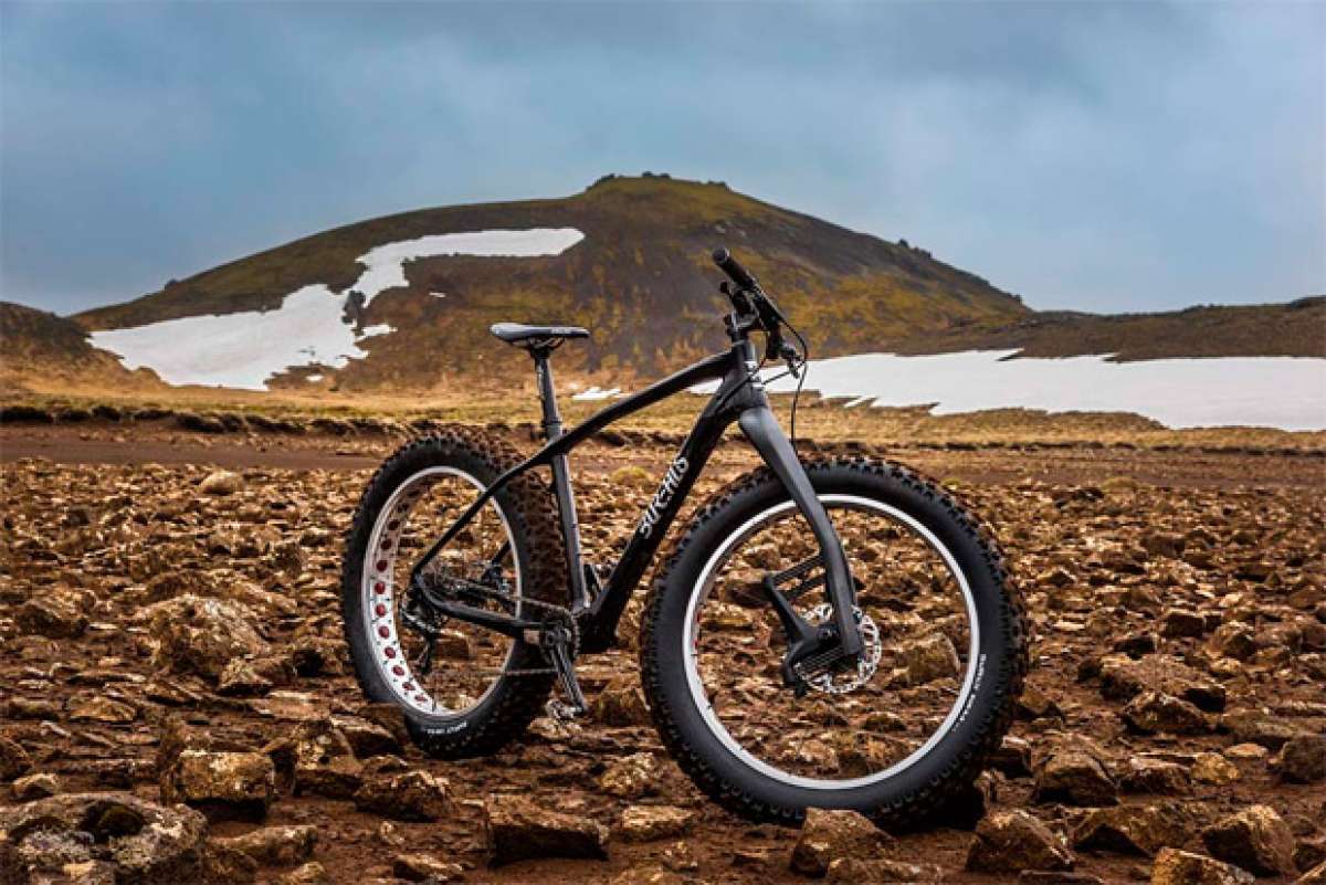 Las 'Fat Bikes' de Borealis, con horquilla Lauf a partir de agosto de 2015