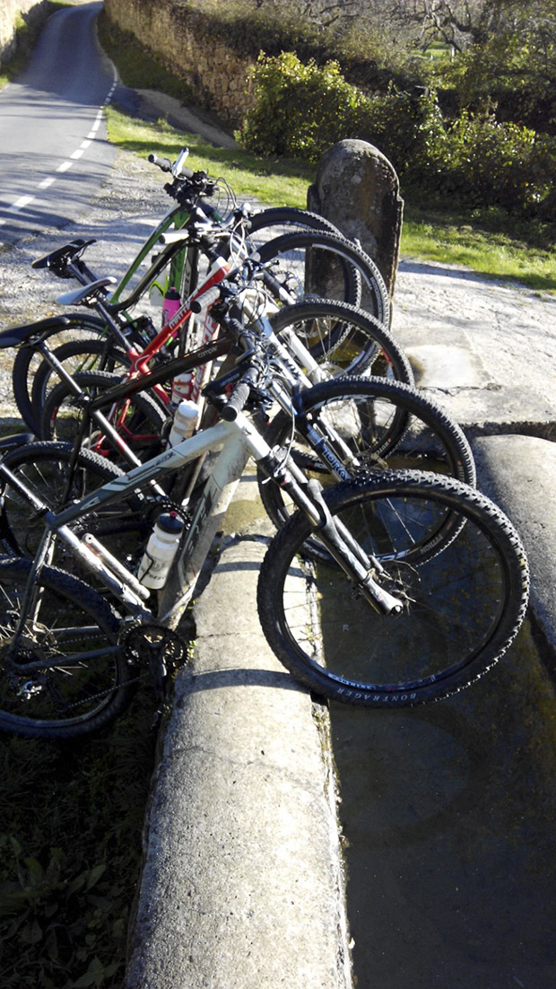 La foto del día en TodoMountainBike: 'Las monturas tienen sed'