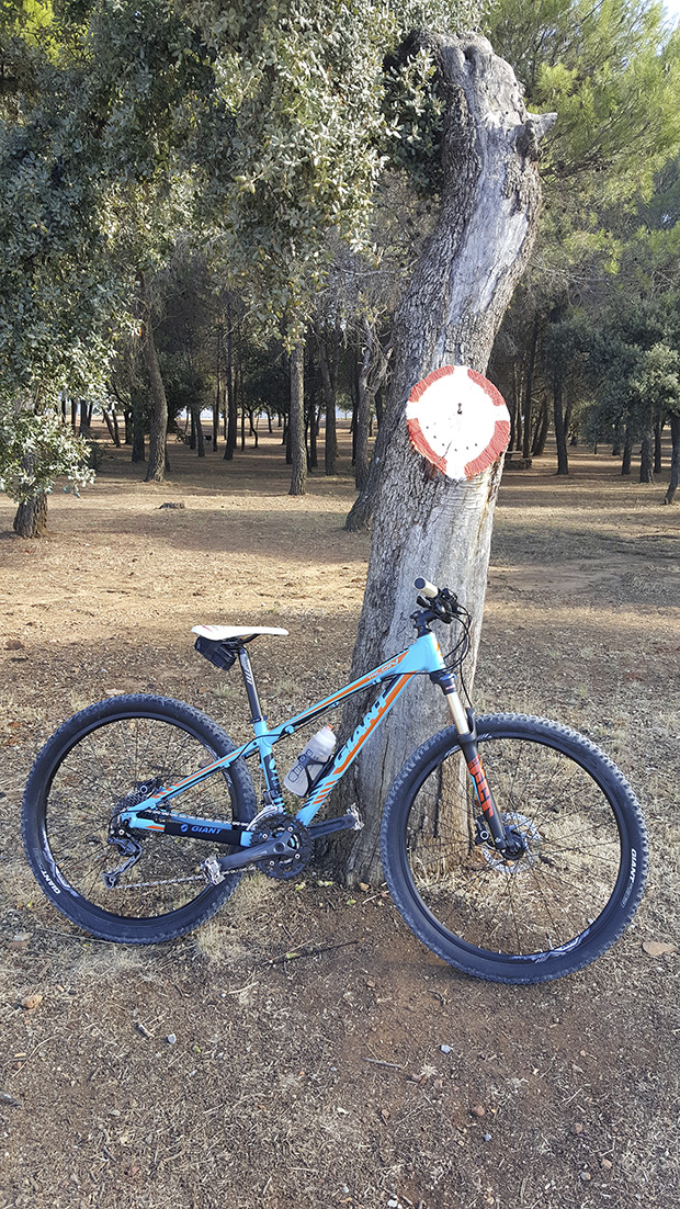 La foto del día en TodoMountainBike: 'En el Llano de la perdiz'