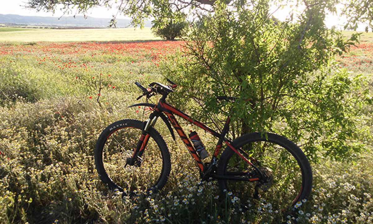 La foto del día en TodoMountainBike: 'Mejorada del Campo'