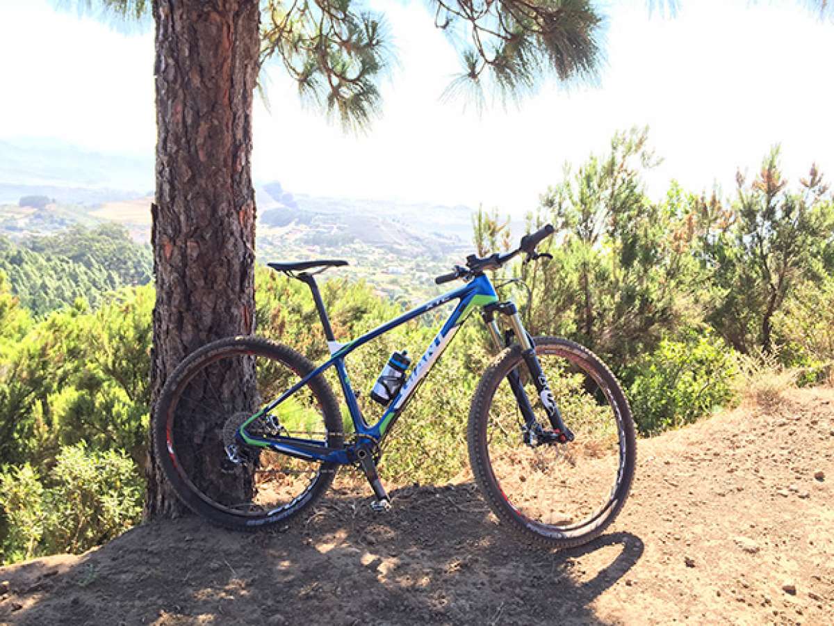 La foto del día en TodoMountainBike: 'Monte de La Esperanza'