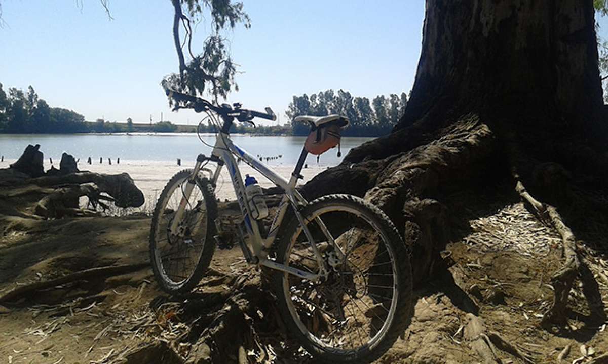 La foto del día en TodoMountainBike: 'Junto al río Guadalquivir'