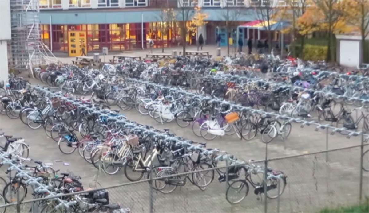 Una mañana cualquiera en una escuela de Holanda