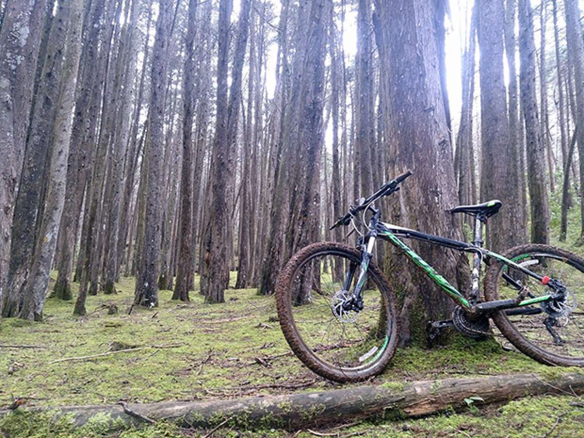 La foto del día en TodoMountainBike: 'Parque Ecoturístico Arví'