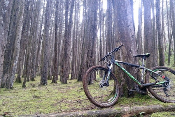 La foto del día en TodoMountainBike: "Parque Ecoturístico Arví"