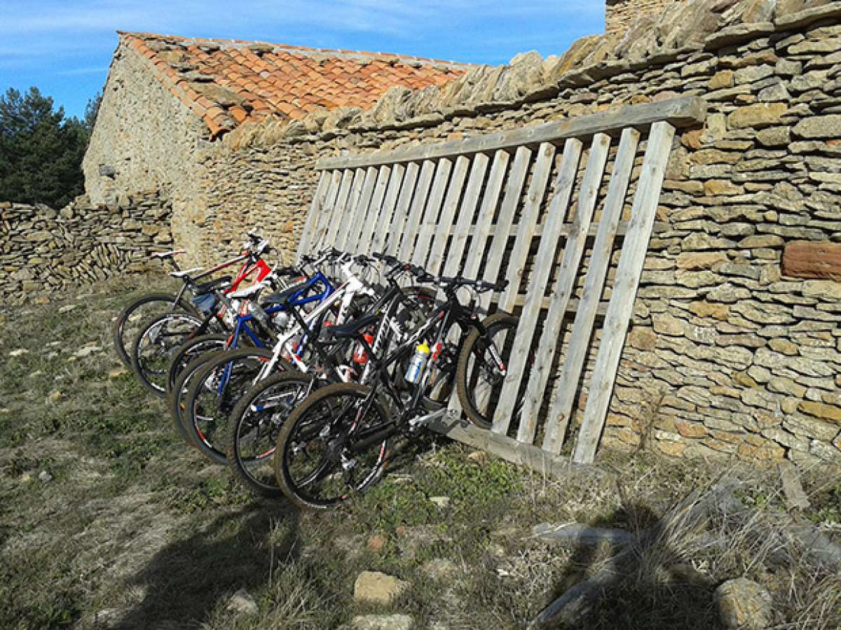 La foto del día en TodoMountainBike: 'Pinar Ciego de Mosqueruela'