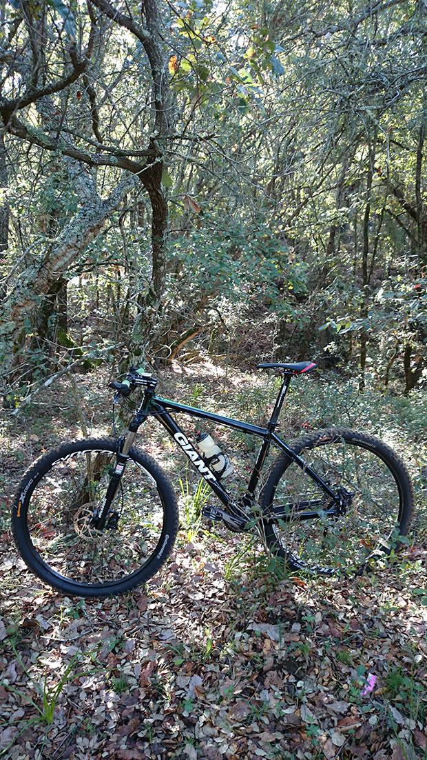 La foto del día en TodoMountainBike: 'Pinar del Rey (Cádiz)'