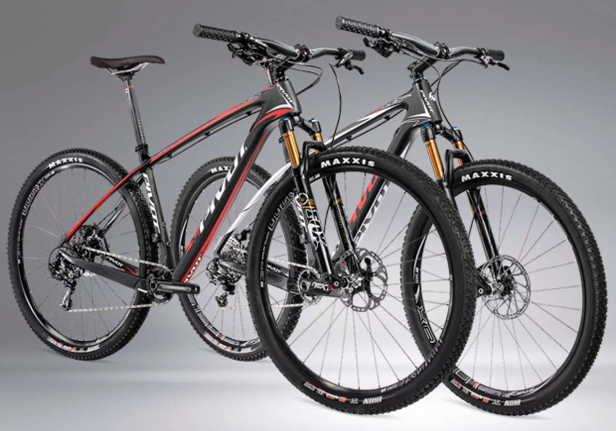 Bicicletas 29 pulgadas discount carbono