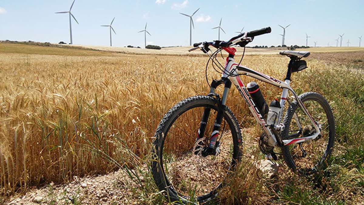 La foto del día en TodoMountainBike: 'La Plana de María de Huerva (Zaragoza)'